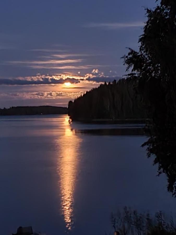 Stunning Log Cabin 45M2 On The Shore Of Kallavesi. กัวปิโอ ภายนอก รูปภาพ
